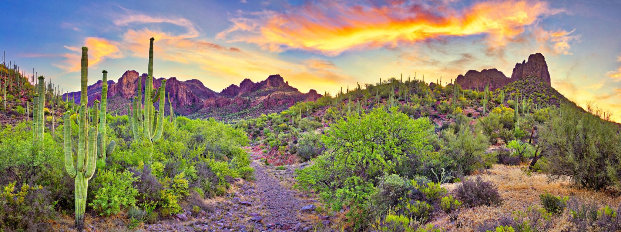 Arizona sunset