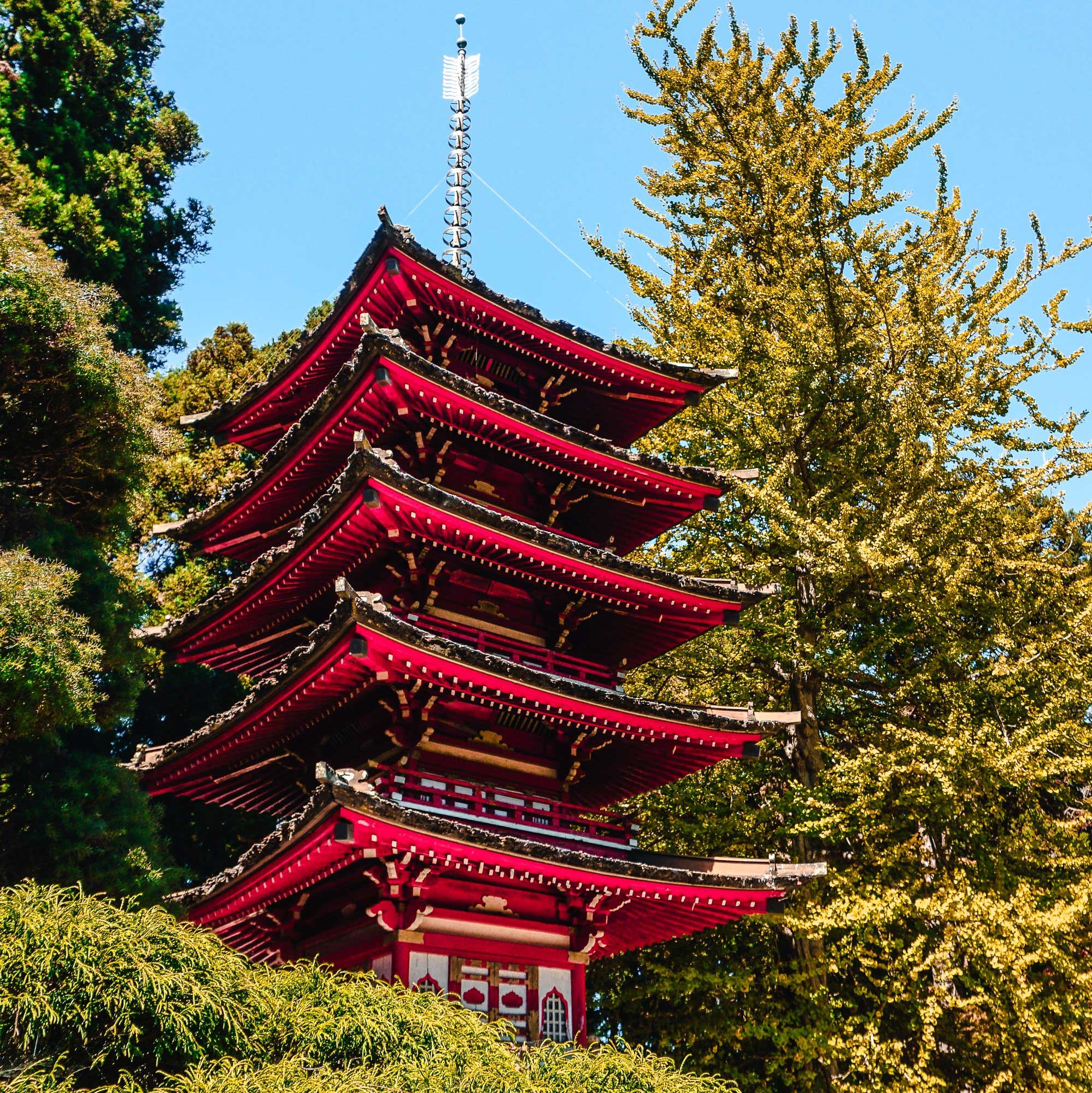 Japanese Tea Garden