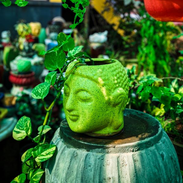 buddha planter