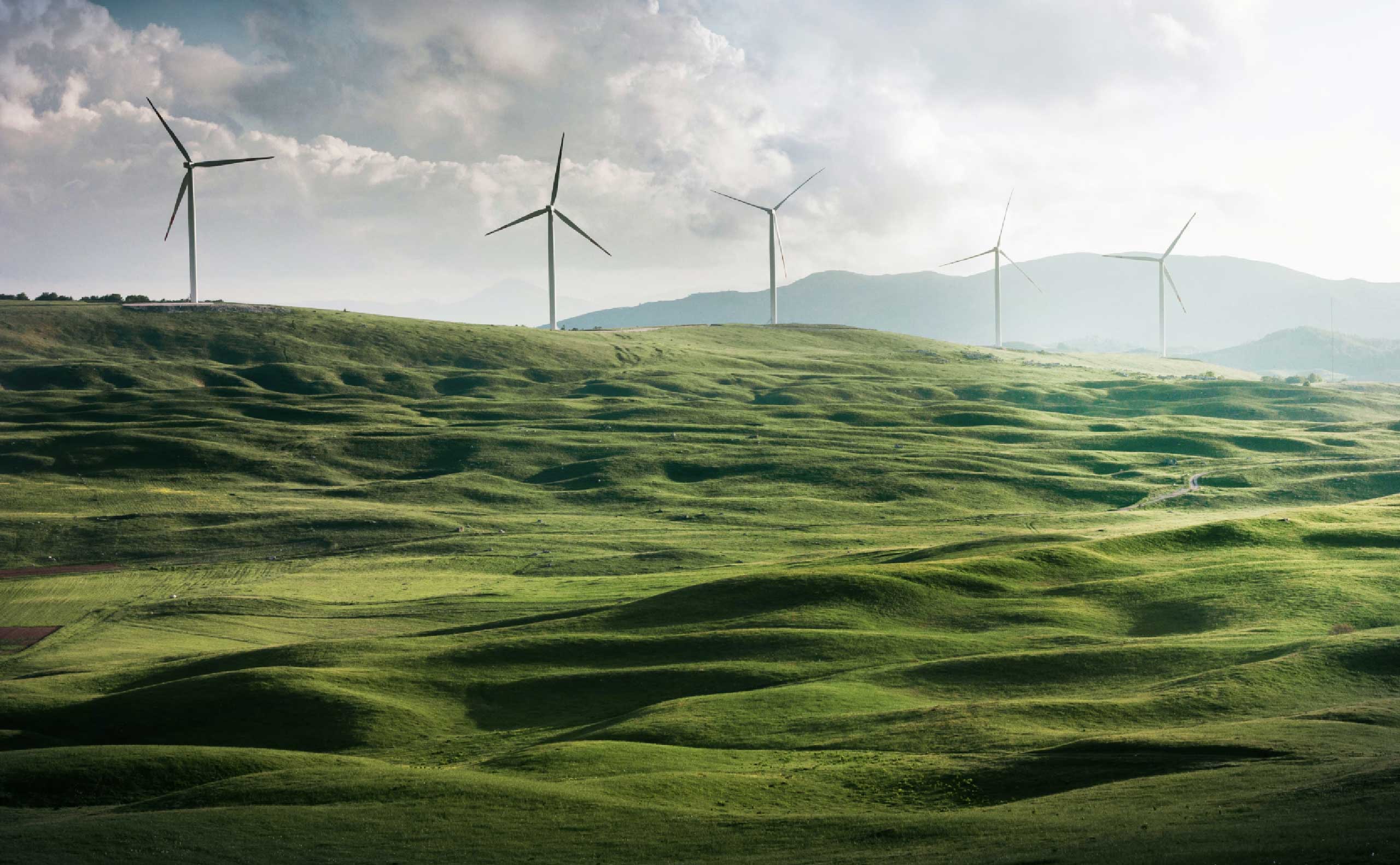 a wind farm