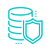 data security icon