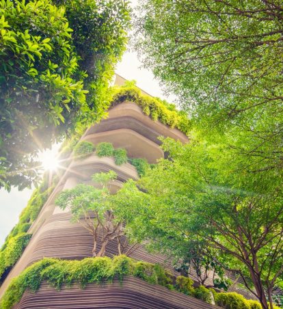 Green growing plants wrapping a building.