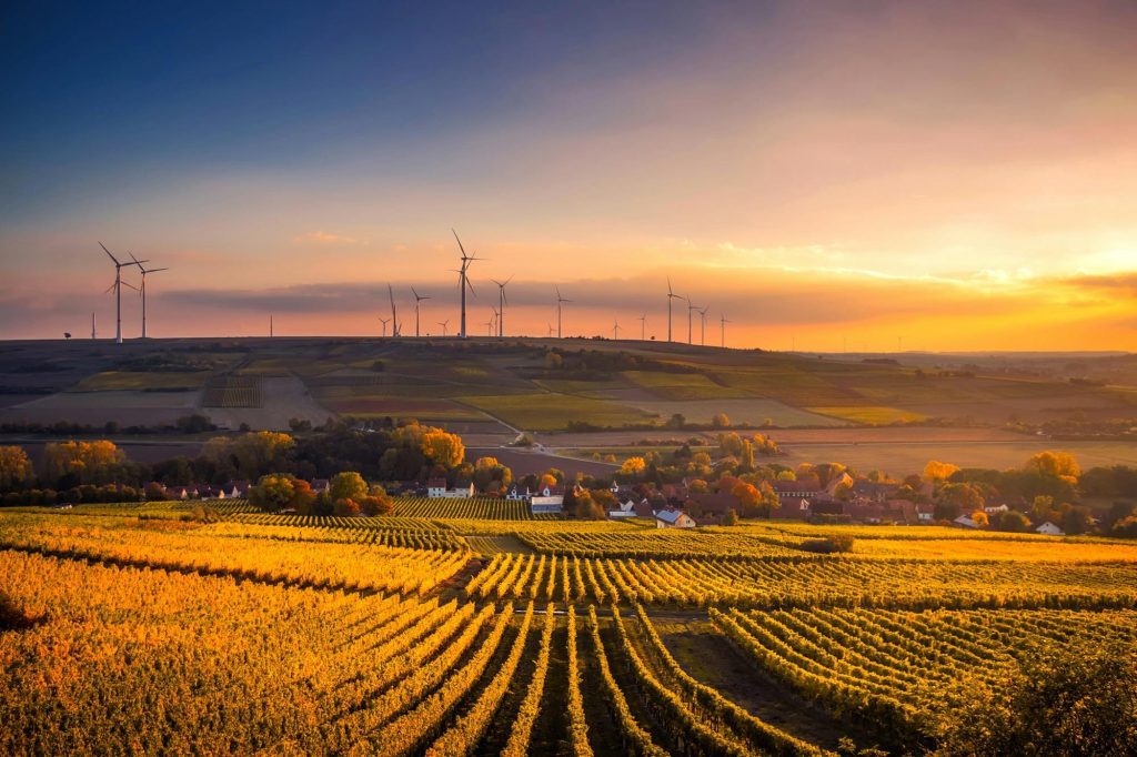 sunset in farmland