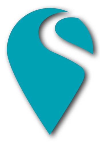 Synergy Blue pin