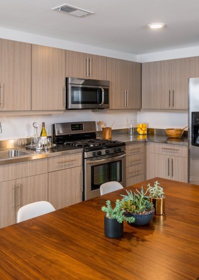 Runway apartment kitchen.